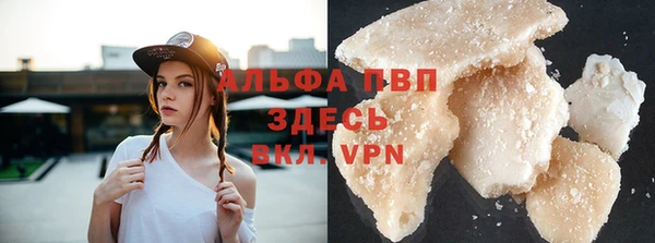 СК Белокуриха